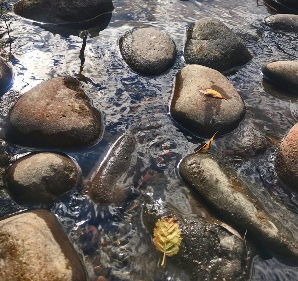 pebbles in rabbit bend river CO